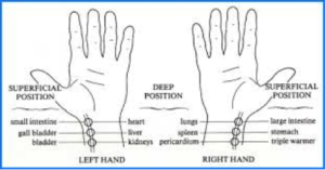 Pulse Diagram